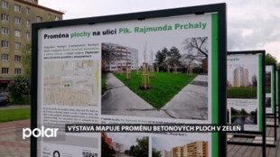 Nevyužívaná hřiště v Porubě nahradila zeleň. Proces proměn mapuje výstava na Hlavní třídě